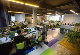 宝山区颗粒金检机品牌