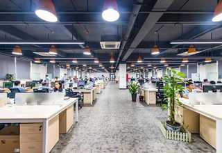 新疆巩市榨油机