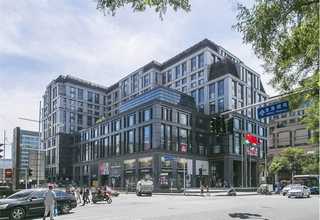 山东特产女儿红哪个牌子好