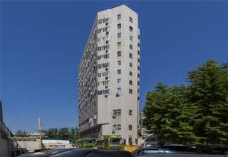 泉州操场仿真草皮