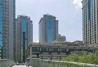 南京耐思（NEST)96孔细胞培养板TC处理