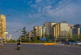 台州耐热花卉绿植直销