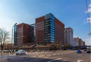 上海绿植花卉租赁公司