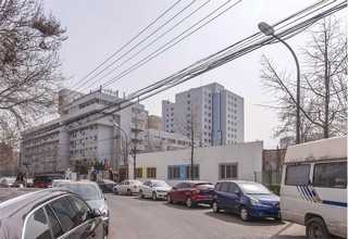 武汉硚口区绿化养护除杂草