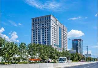 浙江花卉哪有卖